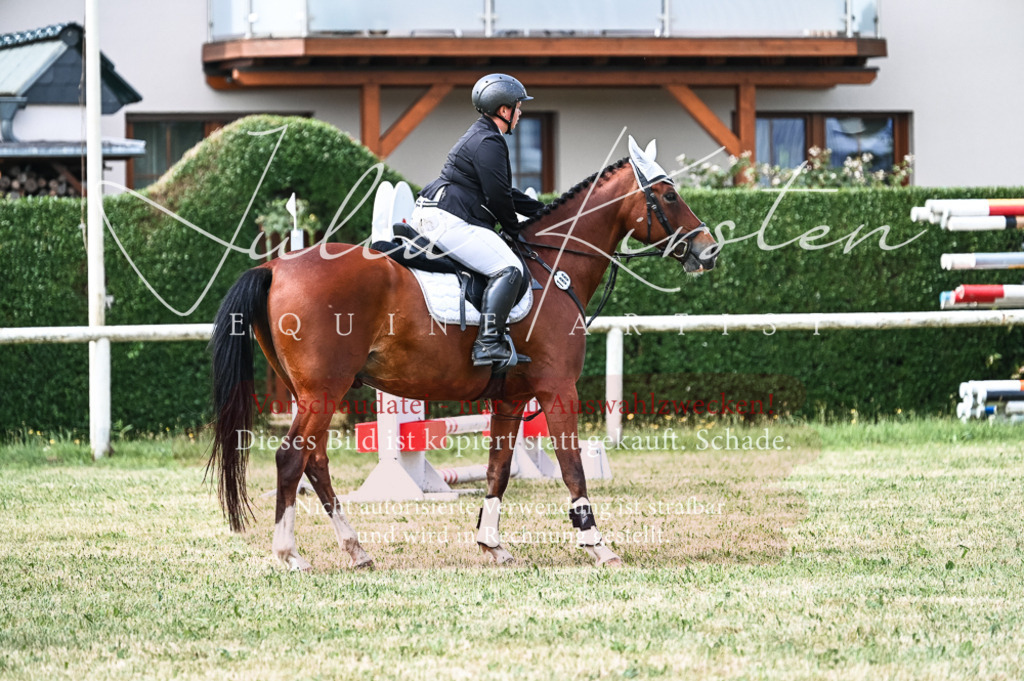 DSC_8691 | Pferde- und Turnierfotografie in Westsachsen. Pferdeportraits, Auftragszeichnungen und intuitive Kunst.