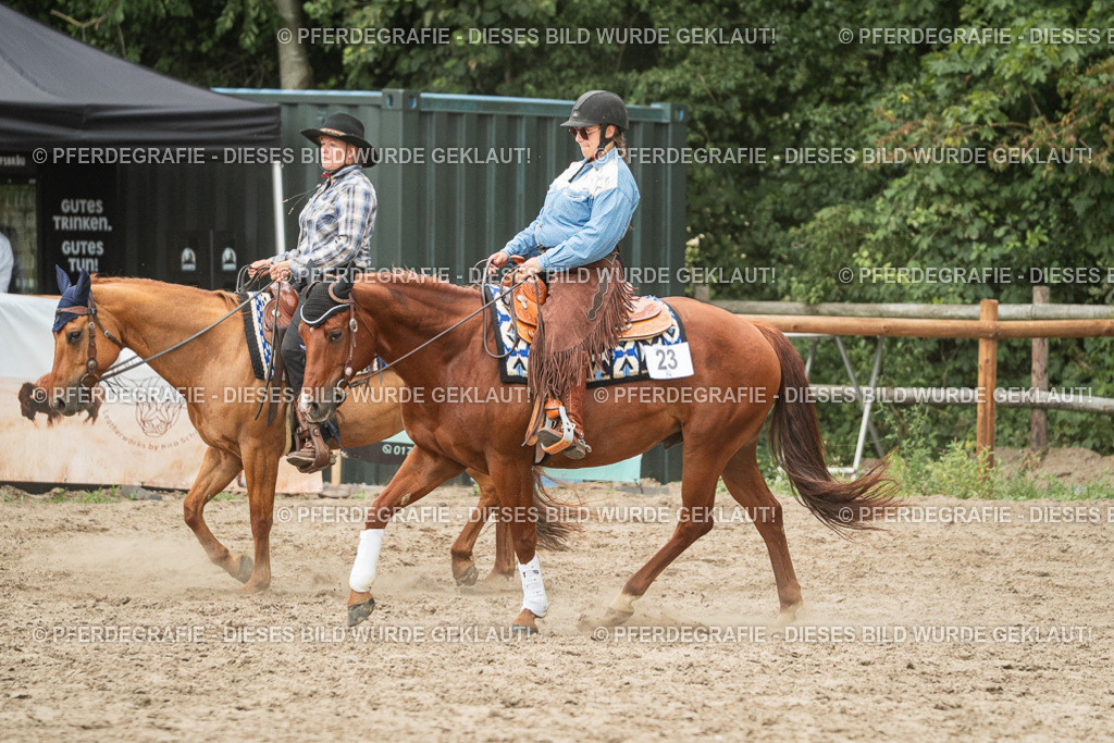 DSC03183 | Pferdegrafie