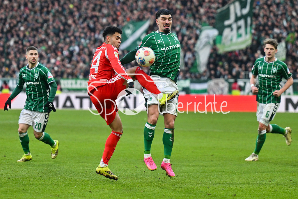 SV Werder Bremen - FC Bayern München | BREMEN, GERMANY - 14. FEBRUARY: im duell Luis DIAZ (FC Bayern Munich 14) und Cameron PUERTAS CASTRO (SV Werder Bremen 18) während dem Bundesligamatch zwischen dem SV Werder Bremen und dem FC Bayern München am 22. Spieltag im Weserstadion / DFL REGULATIONS PROHIBIT ANY USE OF PHOTOGRAPHS AS IMAGE SEQUENCES AND/OR QUASI-VIDEO