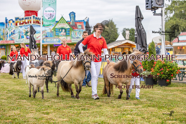LTN 1 (181 von 918) | mandyhollmannphotographie