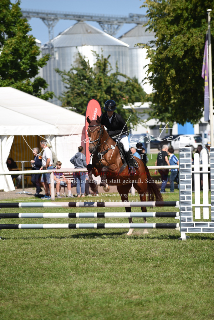 DSC_9421 | Pferde- und Turnierfotografie in Westsachsen. Pferdeportraits, Auftragszeichnungen und intuitive Kunst.