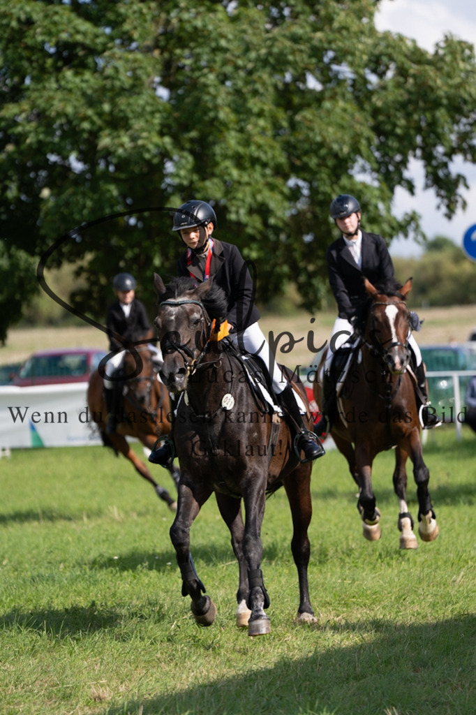 A7V03492 | Pferdefotograf