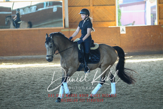 DKP42392 | Turniersportfotografie; Pferdefotografie; Dressurfotografie