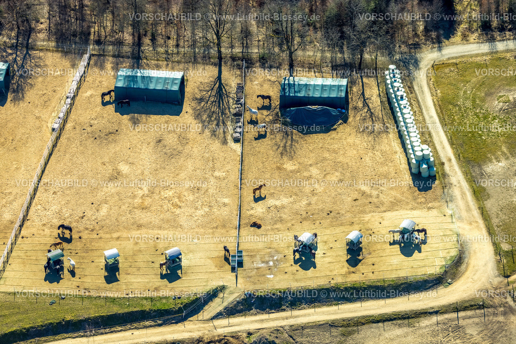 Wenden250307635Bruen_ReitanlageWacker | Luftbild, Reitanlage Wacker Reiterhof, Brün, Wenden, Sauerland, Nordrhein-Westfalen, Deutschland