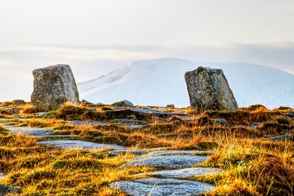 IMG_8393 | www-pimpup-me - Realisiert mit Pictrs.com