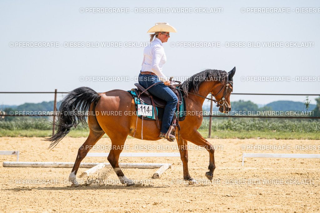 DSC00449 | Pferdegrafie