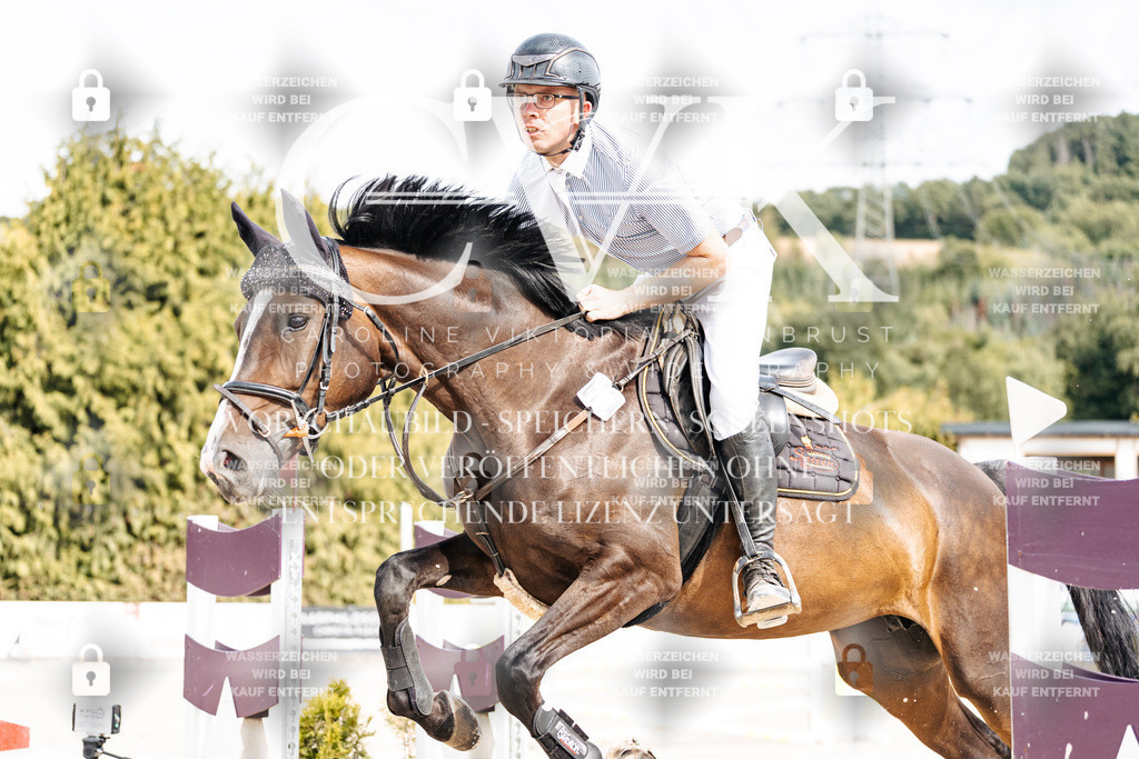 CK902129 | Turnierfotografie Pferdefotografie Trier Rheinland-Pfalz Pferdesport Reitsport Tierfotografie Sportfotografie Pferdevideo Pferdevideografie Equestrianvideography equestrianphotography  - Realisiert mit Pictrs.com
