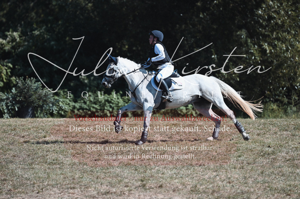 DSC_8539 | Pferde- und Turnierfotografie in Westsachsen. Pferdeportraits, Auftragszeichnungen und intuitive Kunst.