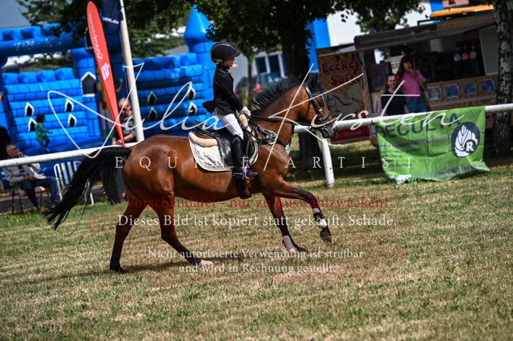 DSC_8532 | Pferde- und Turnierfotografie in Westsachsen. Pferdeportraits, Auftragszeichnungen und intuitive Kunst.