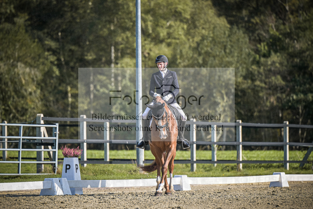 DOS_3491 | Entdecke hochwertige Reitturnierfotos von Foto Oger. Professionell, emotional und authentisch – jetzt Lieblingsmomente im Shop bestellen.Deutschlandweite Turnierfotografie. - Realisiert mit Pictrs.com