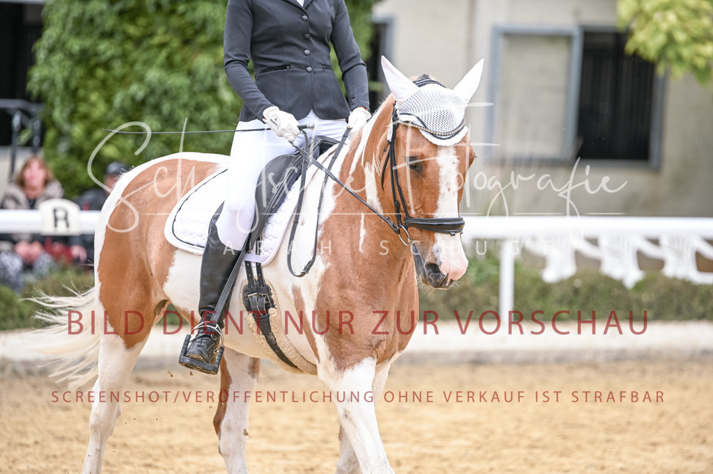 Schugtsche-Aluta25-44.DresssurreiterWB-143 | Schugtsche Fotografie - Realisiert mit Pictrs.com