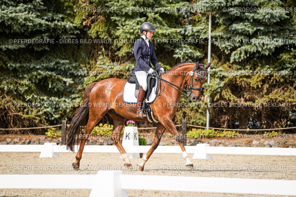 DSC06915 | Pferdegrafie