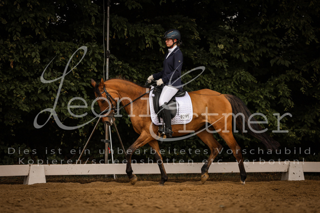 DoDrE00388 | Leoni Ertmer Photography - Realisiert mit Pictrs.com