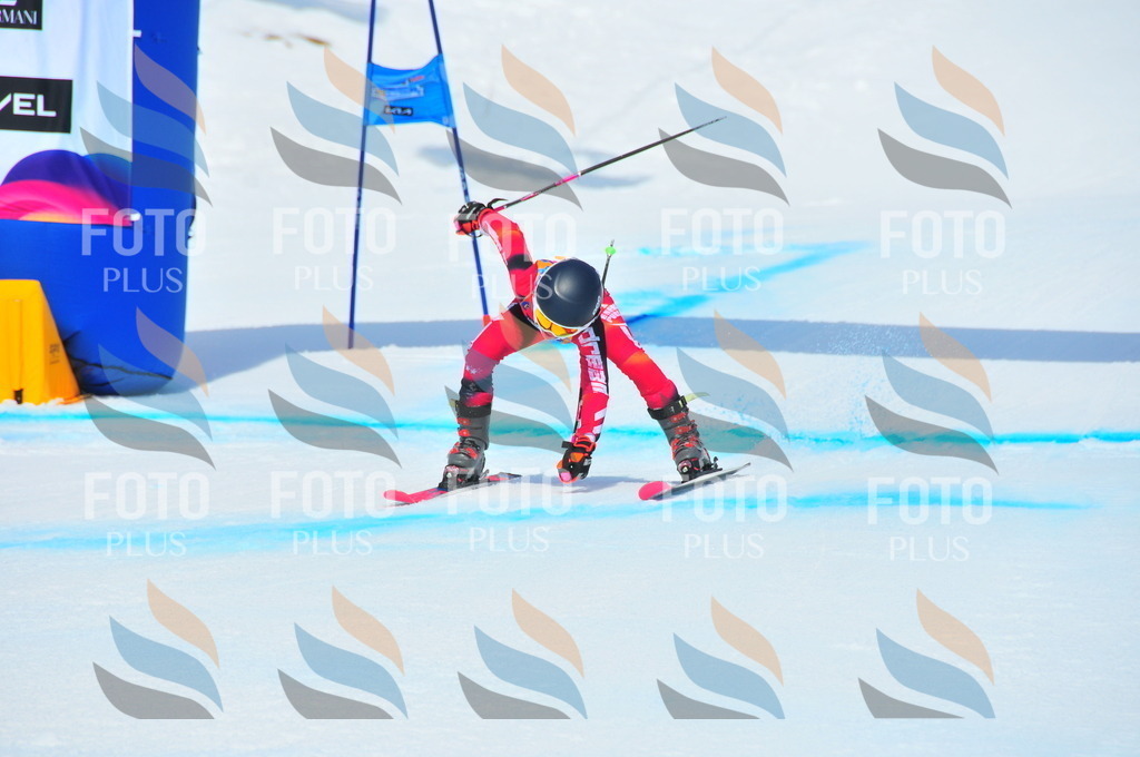 DSC_5655 | holidayphoto