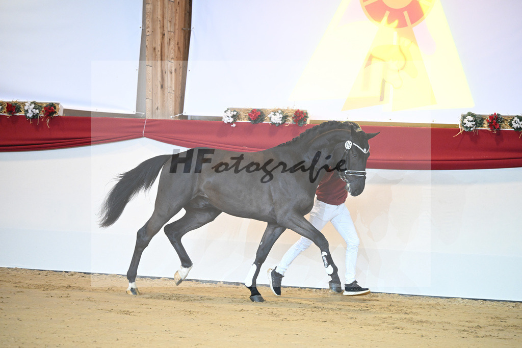 Kat-Nr. 15 Cornet de Semilly_Agrar Handelsgesellschaft Salzfurtkapelle_1231166 | hf-fotografie - Realizzato con Pictrs.com