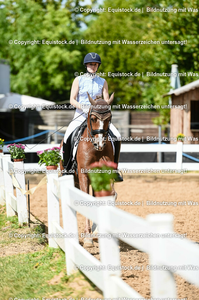 20230716_01_Dressurprüfung Kl.M_0254 | equistock