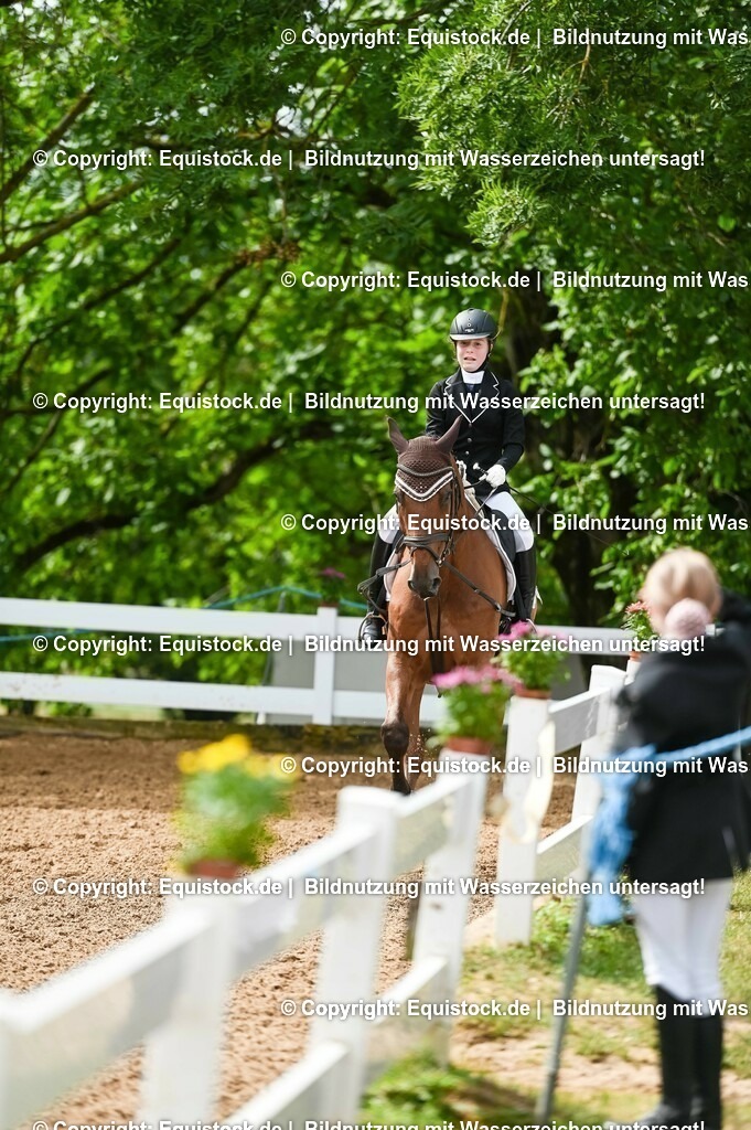 20230716_10-1_Reiter-WB Schritt - Trab - Galopp_0101 | equistock