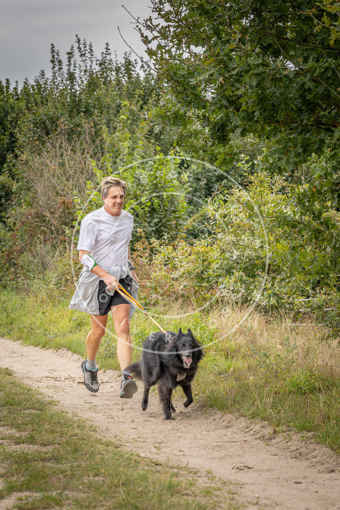 Pfotenfotografie_DV3A6478 | Hundefotografie, Tierfotograf, Pfotenfotografie, Fotoshooting Hund, Hunde Portrait, Hundesport, Hundeportraits, Heideshooting, Hunde, Sportfotograf, Hundefotograf, Turnierhundsport, THS,  - Realisiert mit Pictrs.com