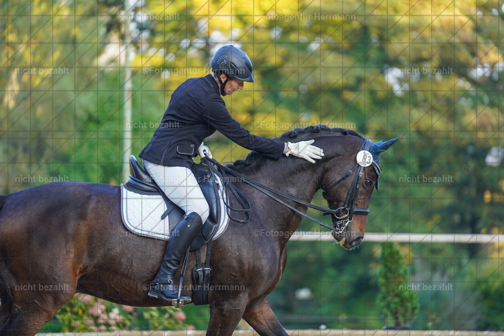 20221007-FAH00517 | Diessen am Ammersee, 2022, Dressur- und Springturnier, Reitsportbilder, Turnierfotografen Bayern, Pferdefotografen, Fotoagentur Herrmann, Turnierbilder