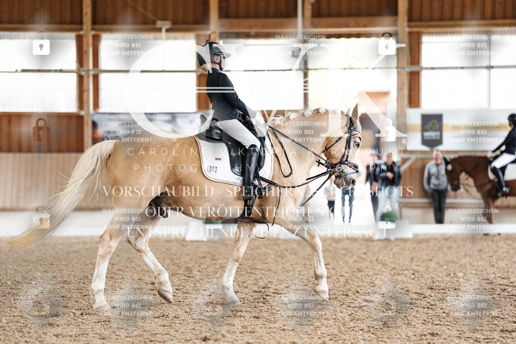 CK900522 | Turnierfotografie Pferdefotografie Trier Rheinland-Pfalz Pferdesport Reitsport Tierfotografie Sportfotografie Pferdevideo Pferdevideografie Equestrianvideography equestrianphotography  - Realisiert mit Pictrs.com