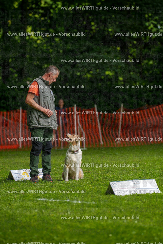 @allesWIRTHgut_Tierfotografie - www.allesWIRTHgut.de - 7R502871 | Professionelle Tierfotografie in Mönchengladbach von Daniel Wirth (allesWIRTHgut). Liebevolle & natürliche Bilder von Hunden & Katzen für unvergessliche Erinnerungen.