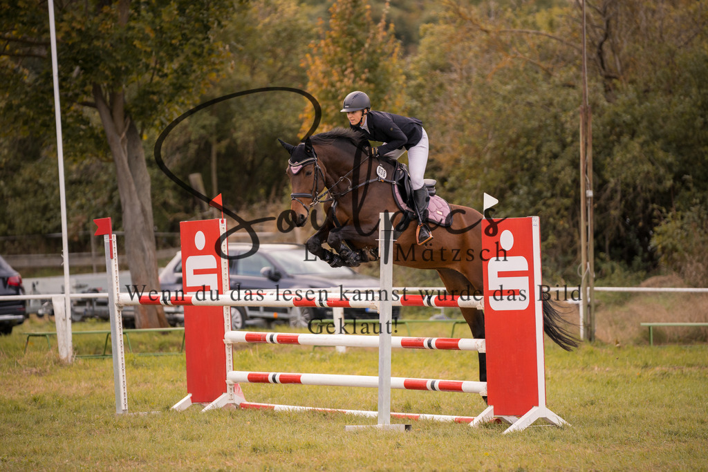 A7V07311 | Turnier/Reitfotograf