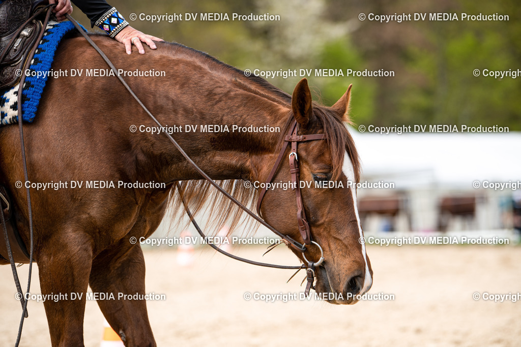 Heiligenwald Tag 1-711 | dv-media-shop - Realisiert mit Pictrs.com