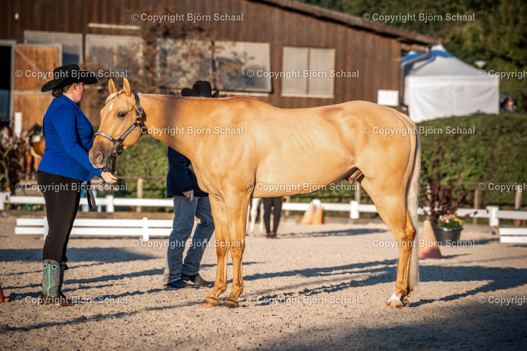 KBB08653 | BS-foto