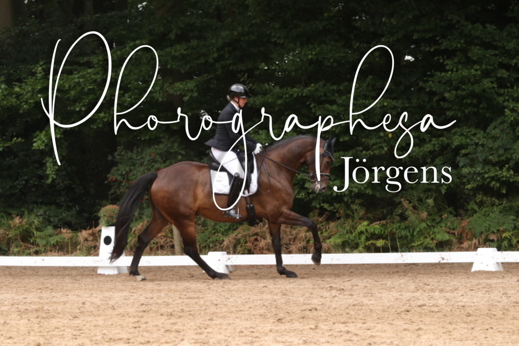 IMG_9870 | photographesa-joergens - Realisiert mit Pictrs.com