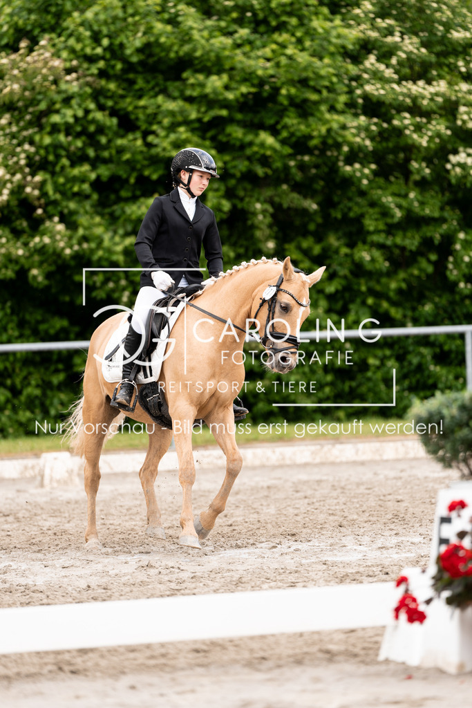 DSC08123 | Carolin Gieschke