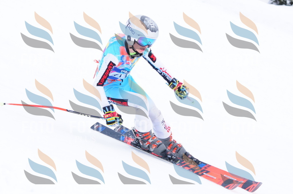 C4327 | holidayphoto