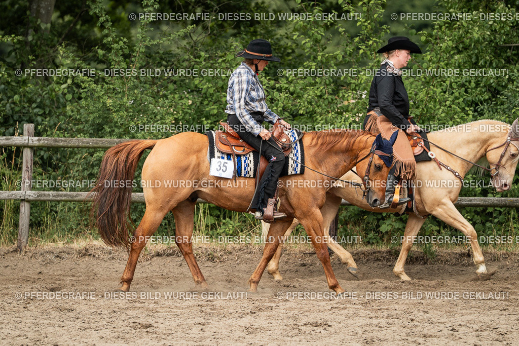 DSC03393 | Pferdegrafie