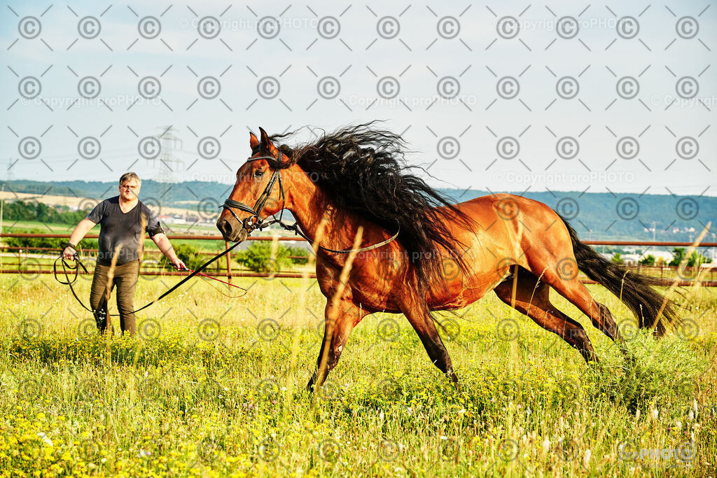 314_202406_Niki-Herodes_NZ9_0268 | proPHOTO - Realisiert mit Pictrs.com