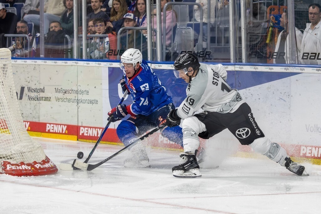 DEL, Deutsche Eishockey Liga Saison 2025/26, 49. Spieltag: Adler Mannheim gegen Kölner Haie | DEL, Deutsche Eishockey Liga Saison 2025/26, 49. Spieltag: Adler Mannheim gegen Kölner Haie***Justin Schütz (74, Mannheim) und Frederik Storm (19, Köln) im Zweikampf an der Bande - Realisiert mit Pictrs.com