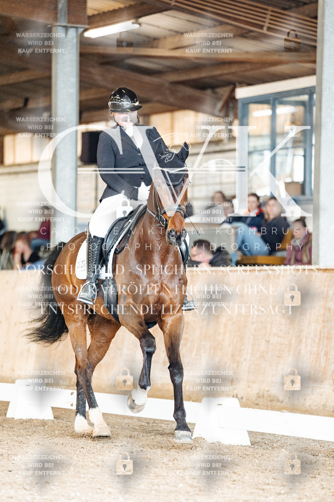 CK901639 | Turnierfotografie Pferdefotografie Trier Rheinland-Pfalz Pferdesport Reitsport Tierfotografie Sportfotografie Pferdevideo Pferdevideografie Equestrianvideography equestrianphotography  - Realisiert mit Pictrs.com