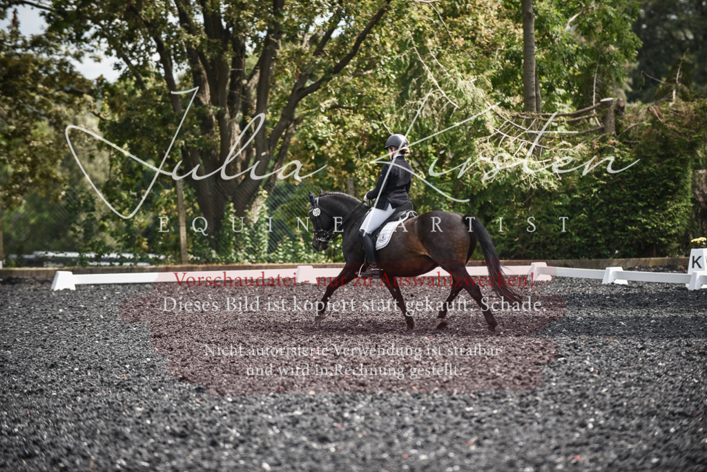 DSC_5093 | Pferde- und Turnierfotografie in Westsachsen. Pferdeportraits, Auftragszeichnungen und intuitive Kunst.