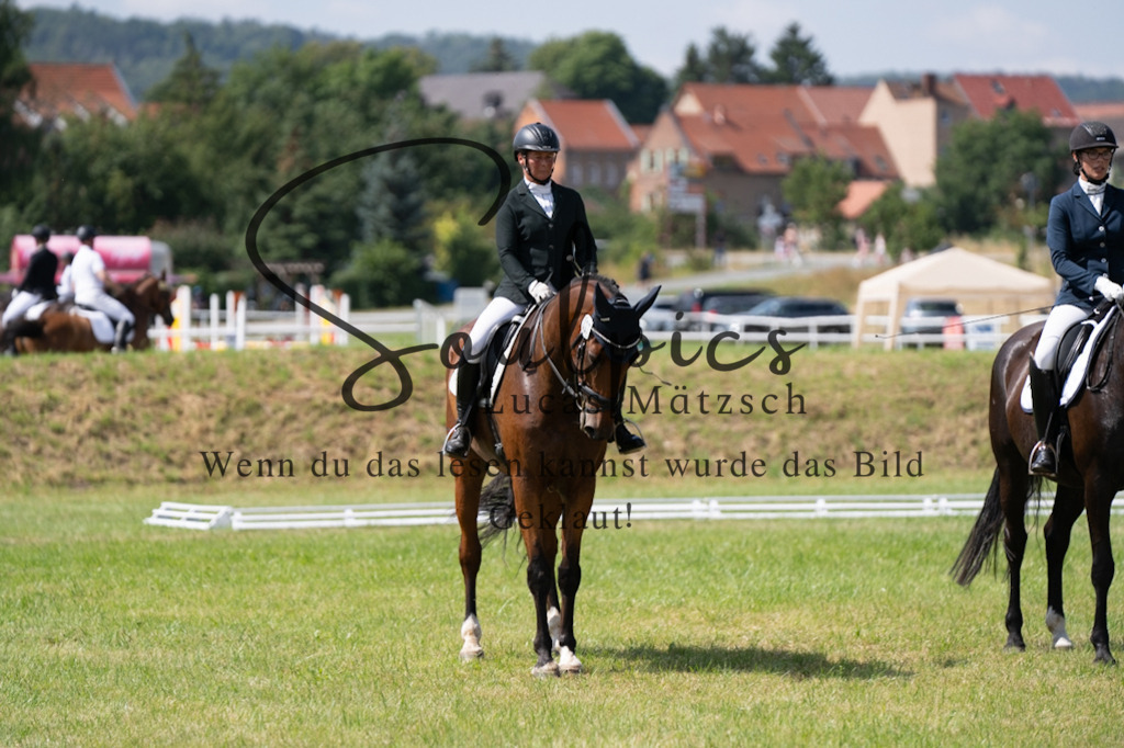 A7V09778 | Pferdefotograf