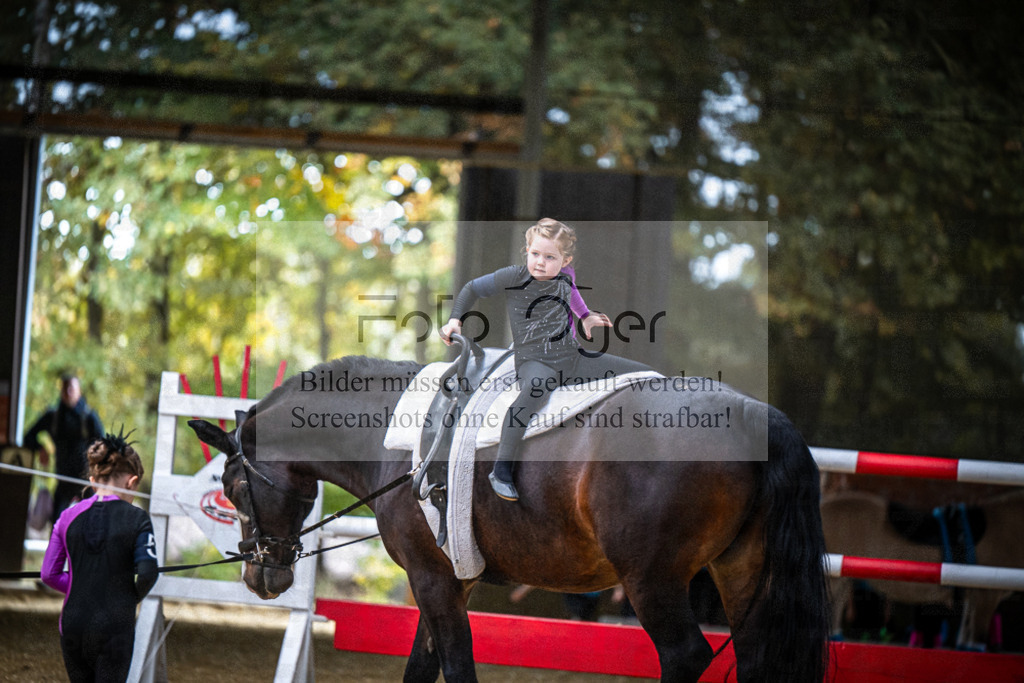 DOS_0163 | Entdecke hochwertige Reitturnierfotos von Foto Oger. Professionell, emotional und authentisch – jetzt Lieblingsmomente im Shop bestellen.Deutschlandweite Turnierfotografie. - Realisiert mit Pictrs.com