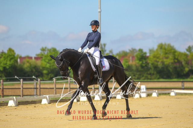 DKP42999 | Turniersportfotografie; Pferdefotografie; Dressurfotografie