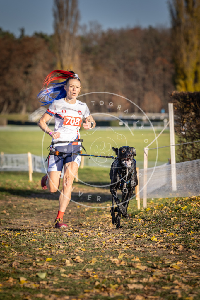 CaniXpix_DV3A1562 | Hundefotografie, Tierfotograf, Pfotenfotografie, Fotoshooting Hund, Hunde Portrait, Hundesport, Hundeportraits, Heideshooting, Hunde, Sportfotograf, Hundefotograf, Turnierhundsport, THS,  - Realisiert mit Pictrs.com