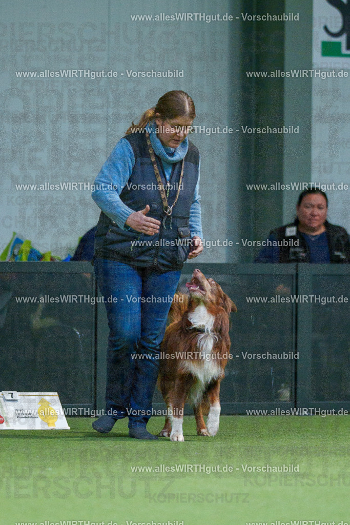 7R500853 | Professionelle Tierfotografie in Mönchengladbach von Daniel Wirth (allesWIRTHgut). Liebevolle & natürliche Bilder von Hunden & Katzen für unvergessliche Erinnerungen.