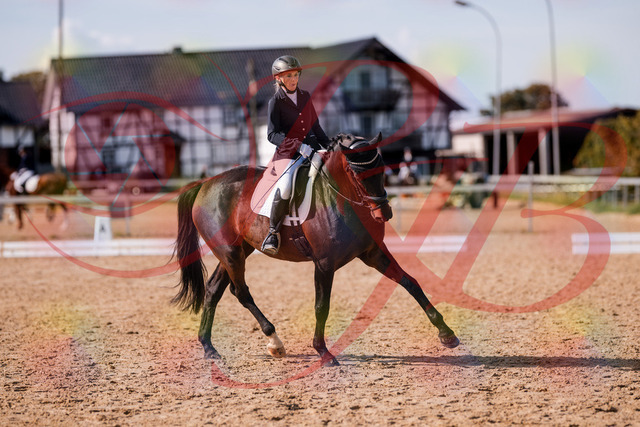 2026_10_03_Siefer-Hof_133827_Z81_96321773 | Professionelle Reitsport-, Turnier- und Eventfotografie von Robert Broda. Galerien mit ausgewählten und bearbeiteten Bildern direkt online ansehen und bestellen.