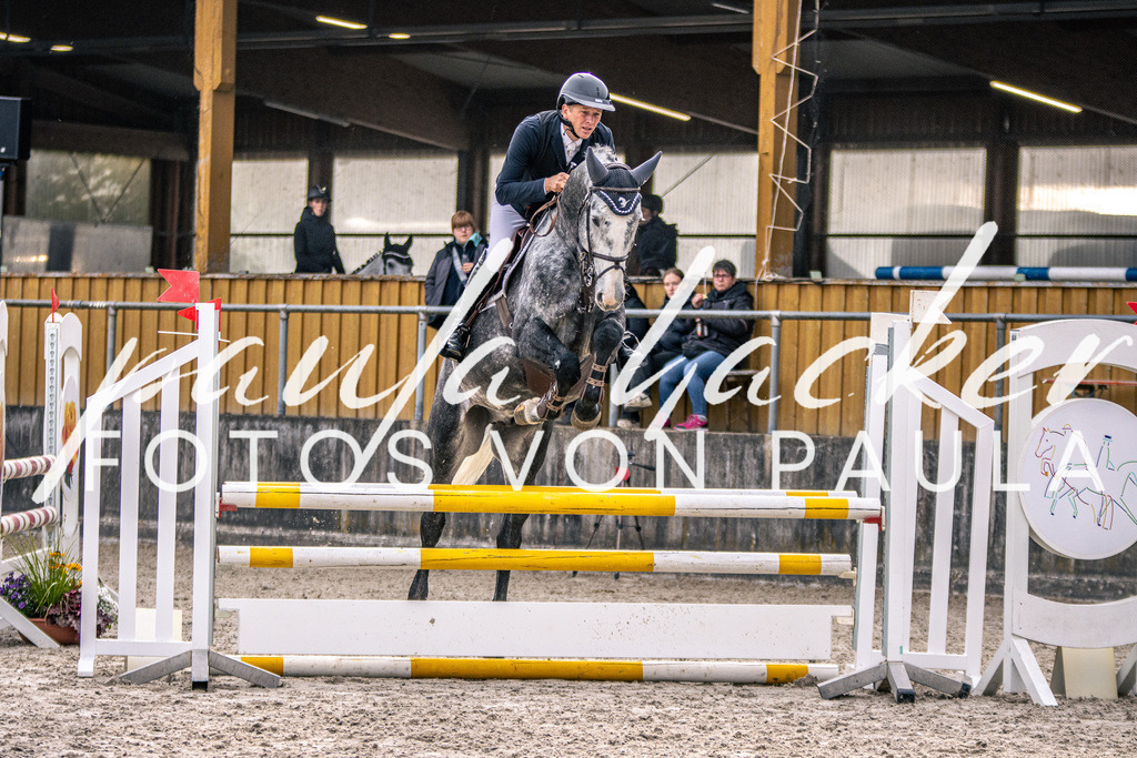 IMG_5040 | Erleben Sie dynamische Sport- und emotionale Tierfotografie in Süddeutschland mit Fotos von Paula. Spezialisiert auf Pferde- und Hundefotografie sowie Sportevents. Kontaktieren Sie mich für einzigartige und ausdrucksstarke Bilder Ihrer besonderen Momente. - Realisiert mit Pictrs.com