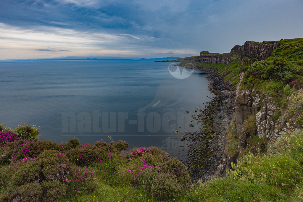 20220719162052-3 | Dieses Bild zeigt eine atemberaubende Küstenlandschaft, die stark an die Isle of Skye in Schottland erinnert. Im Vordergrund erstreckt sich eine üppige Vegetation aus grünem Gras und leuchtend violetter Heide, die den Rand der steilen Klippen säumt. Die Klippen selbst sind dunkel und zerklüftet und fallen dramatisch zum ruhigen, dunkelblauen Meer ab. Am Fuße der Klippen ist ein felsiger Strand zu erkennen. Am Horizont, unter einem weiten, bewölkten Himmel, sind die schemenhaften Umrisse einer fernen Hügelkette oder Landmasse zu sehen, die die Weite der Szenerie unterstreicht. Die Atmosphäre ist wild und zugleich friedlich, typisch für die raue Schönheit der schottischen Küste. - Realisiert mit Pictrs.com