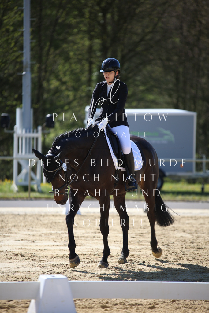 IMGT9672 | pl-fotografie