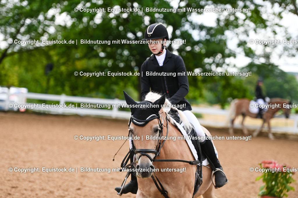 20230716_10-1_Reiter-WB Schritt - Trab - Galopp_0239 | equistock