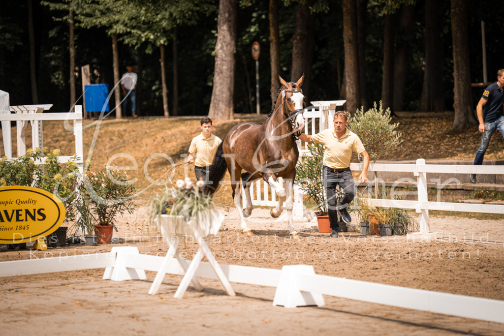 2. Fr00136 | Leoni Ertmer Photography - Realisiert mit Pictrs.com