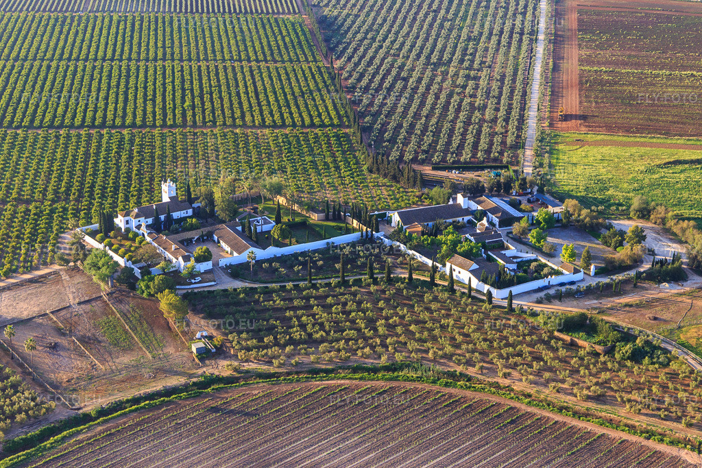 Vue aérienne: Hacienda de Clarevot entre les oliveraies à Alcalá de Guadaíra dans le département Séville, Espagne – .Photo: IMG_145718.jpg prise le 22/04/2025 par Werner Riehm/FLY-FOTO.eu – Résolution de l'original: 5472 x 3648 px – haciendadeclarevot.com