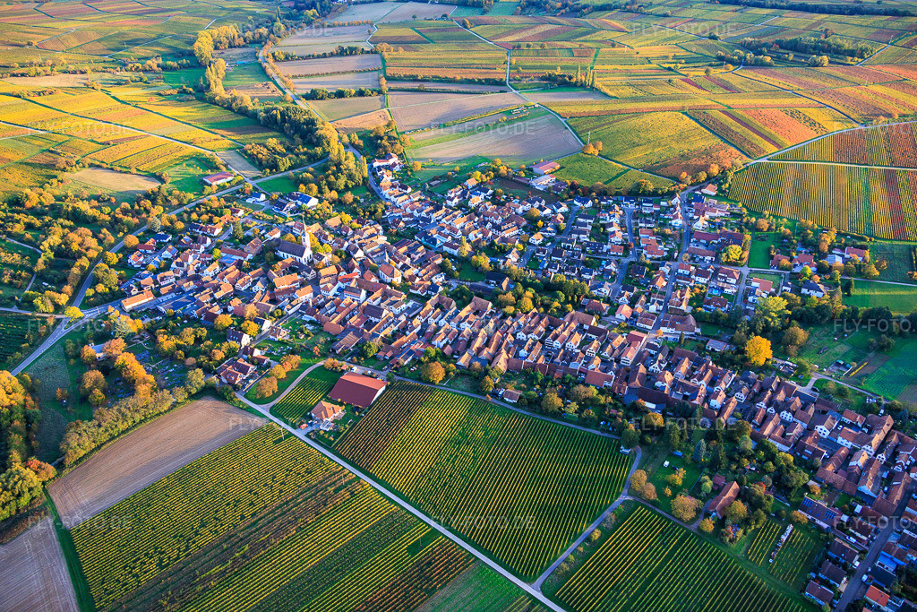 Luftbild: Dorfübersicht zwischen herbstlich bunt gefärbten Weinbergen aus Nordwesten in Göcklingen im Bundesland Rheinland-Pfalz in Deutschland. Foto: IMG_150358.jpg vom 15.10.2025 durch Werner Riehm/FLY-FOTO.de