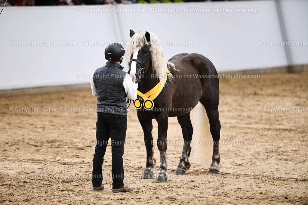 20260307_Hengstvorstellung-Marbach_0265 | equistock